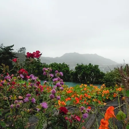 Flor De Ciruelo *